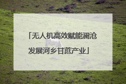 无人机高效赋能澜沧发展河乡甘蔗产业