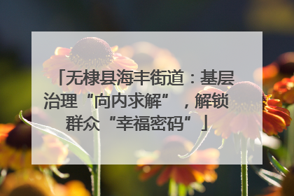 无棣县海丰街道：基层治理“向内求解”，解锁群众“幸福密码”