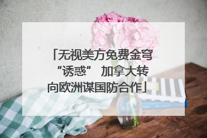 无视美方免费金穹“诱惑” 加拿大转向欧洲谋国防合作