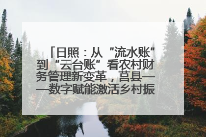 日照：从“流水账”到“云台账”看农村财务管理新变革，莒县——数字赋能激活乡村振兴“一池春水”