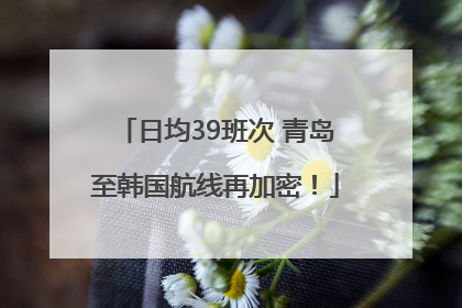 日均39班次 青岛至韩国航线再加密！