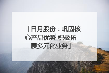 日月股份：巩固核心产品优势 积极拓展多元化业务