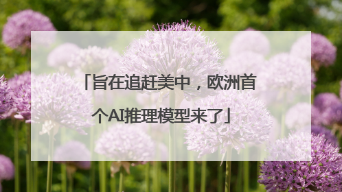 旨在追赶美中，欧洲首个AI推理模型来了