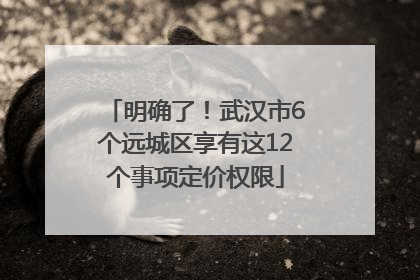 明确了！武汉市6个远城区享有这12个事项定价权限