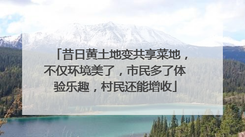 昔日黄土地变共享菜地，不仅环境美了，市民多了体验乐趣，村民还能增收