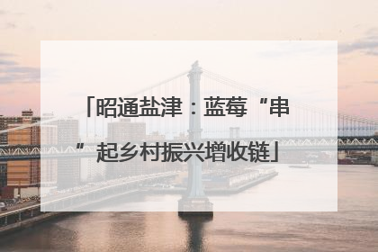昭通盐津：蓝莓“串”起乡村振兴增收链