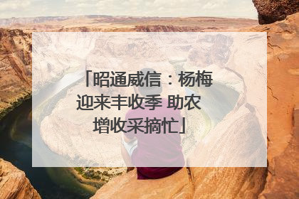 昭通威信：杨梅迎来丰收季 助农增收采摘忙