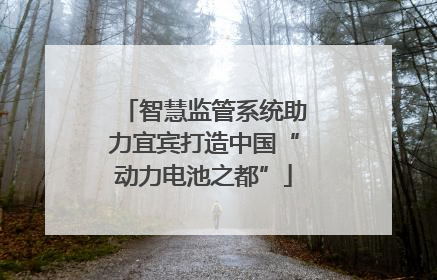 智慧监管系统助力宜宾打造中国“动力电池之都”