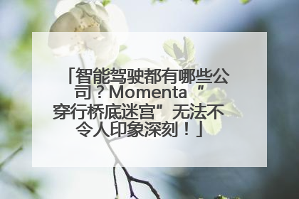 智能驾驶都有哪些公司？Momenta“穿行桥底迷宫”无法不令人印象深刻！