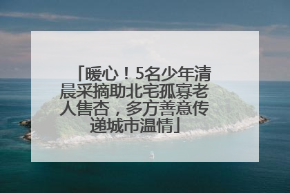 暖心！5名少年清晨采摘助北宅孤寡老人售杏，多方善意传递城市温情