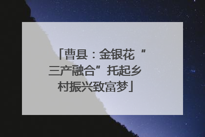 曹县：金银花“三产融合”托起乡村振兴致富梦