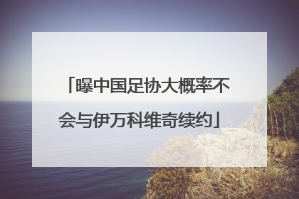 曝中国足协大概率不会与伊万科维奇续约