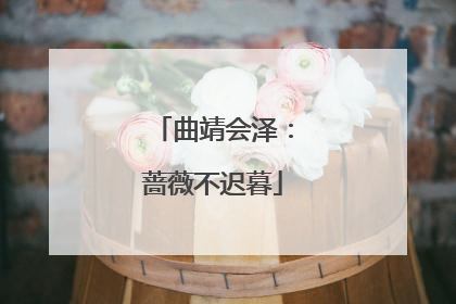 曲靖会泽：蔷薇不迟暮