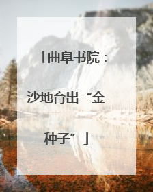曲阜书院：沙地育出“金种子”