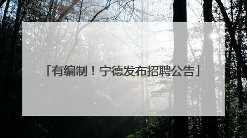 有编制！宁德发布招聘公告