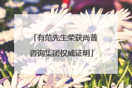 有范先生荣获尚普咨询集团权威证明
