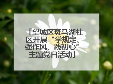望城区斑马湖社区开展“学规定、强作风、践初心”主题党日活动