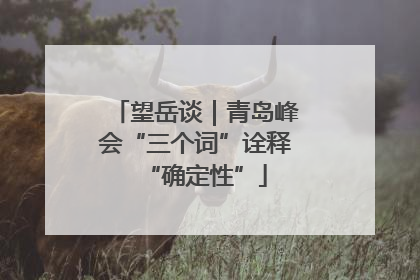望岳谈｜青岛峰会“三个词”诠释“确定性”
