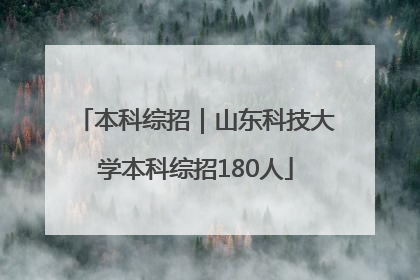 本科综招｜山东科技大学本科综招180人
