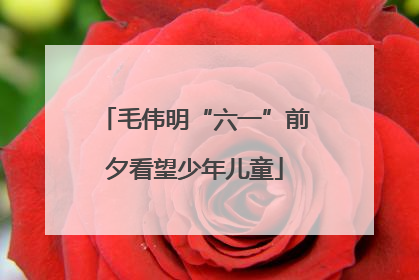 毛伟明“六一”前夕看望少年儿童