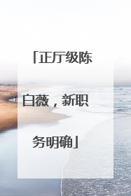 正厅级陈白薇，新职务明确