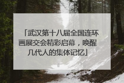 武汉第十八届全国连环画展交会精彩启幕，唤醒几代人的集体记忆