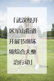 武汉经开区军山街道开展节前环境综合大整治行动