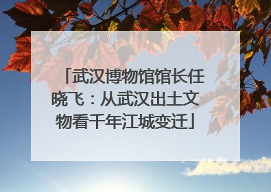 武汉博物馆馆长任晓飞：从武汉出土文物看千年江城变迁
