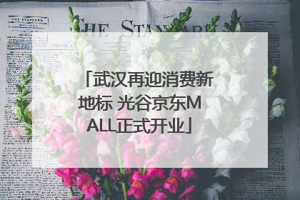武汉再迎消费新地标 光谷京东MALL正式开业