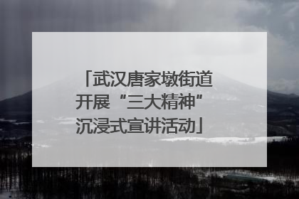 武汉唐家墩街道开展“三大精神”沉浸式宣讲活动