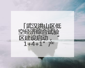 武汉洪山区低空经济综合试验区建设启动，“1+4+1”产业布局初现