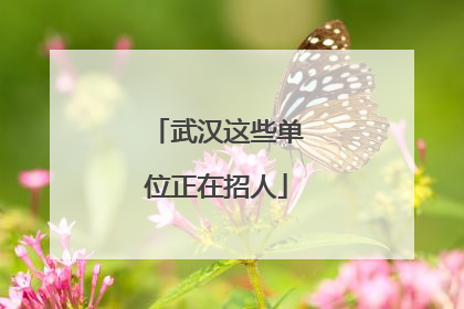 武汉这些单位正在招人