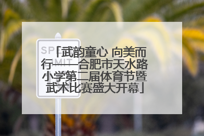 武韵童心 向美而行——合肥市天水路小学第二届体育节暨武术比赛盛大开幕