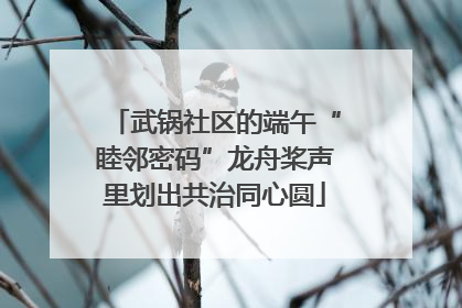 武锅社区的端午“睦邻密码”龙舟桨声里划出共治同心圆