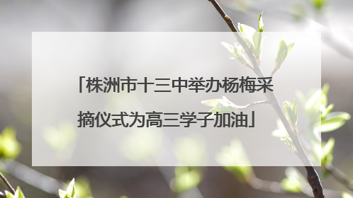 株洲市十三中举办杨梅采摘仪式为高三学子加油