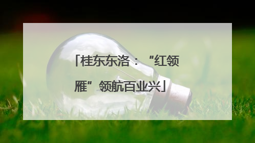 桂东东洛：“红领雁”领航百业兴
