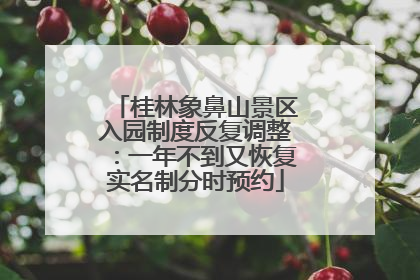 桂林象鼻山景区入园制度反复调整：一年不到又恢复实名制分时预约