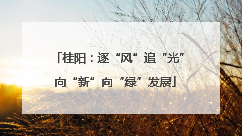 桂阳：逐“风”追“光” 向“新”向“绿”发展