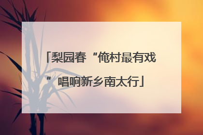 梨园春“俺村最有戏”唱响新乡南太行