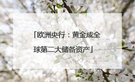 欧洲央行：黄金成全球第二大储备资产