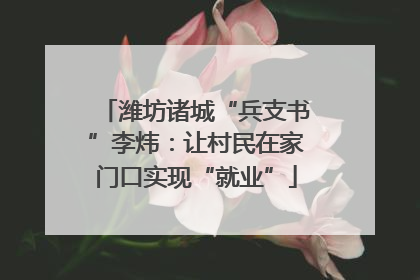 潍坊诸城“兵支书”李炜：让村民在家门口实现“就业”