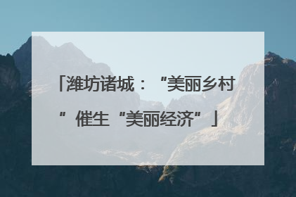 潍坊诸城：“美丽乡村”催生“美丽经济”