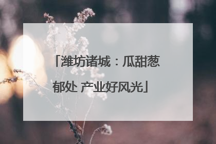 潍坊诸城：瓜甜葱郁处 产业好风光