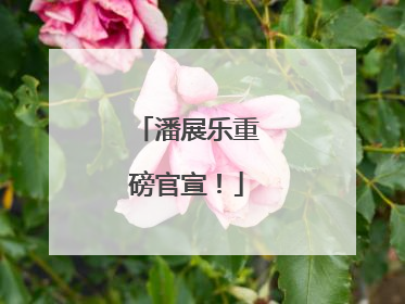 潘展乐重磅官宣！