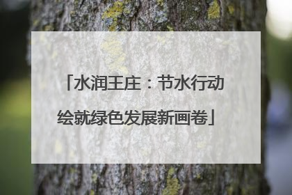 水润王庄：节水行动绘就绿色发展新画卷