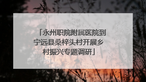 永州职院附属医院到宁远县桑梓头村开展乡村振兴专题调研