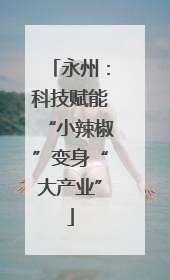 永州：科技赋能“小辣椒”变身“大产业”