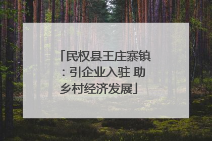 民权县王庄寨镇：引企业入驻 助乡村经济发展