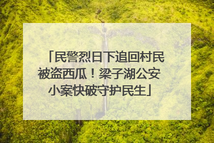 民警烈日下追回村民被盗西瓜！梁子湖公安小案快破守护民生