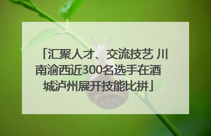 汇聚人才、交流技艺 川南渝西近300名选手在酒城泸州展开技能比拼